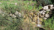 Boulbon_26_03-95