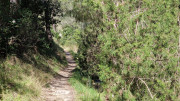 Boulbon_26_03-97