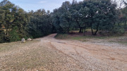Lirac_26_01-1