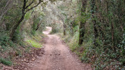 Lirac_26_01-102