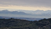 Lirac_26_01-105