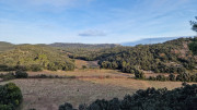 Lirac_26_01-119