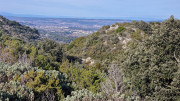 Lirac_26_01-15