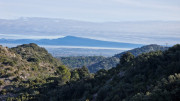 Lirac_26_01-16