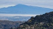 Lirac_26_01-17