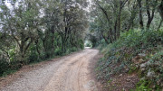 Lirac_26_01-2