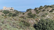 Lirac_26_01-27