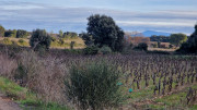 Lirac_26_01-4