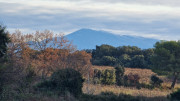 Lirac_26_01-5