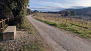 Lirac_26_01-6