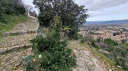Lirac_26_01-66