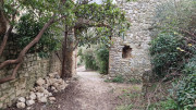 Lirac_26_01-69