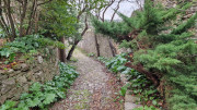 Lirac_26_01-79