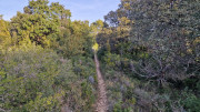 Lirac_26_01-8