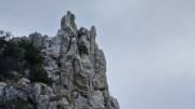 Lirac_26_01-84