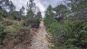Lirac_26_01-86