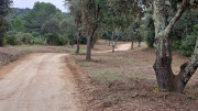 Lirac_26_01-88
