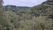 Lirac_26_01-90