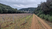 Lirac_26_01-97