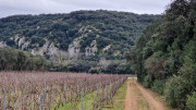 Lirac_26_01-98