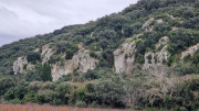 Lirac_26_01-99