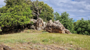 Pougnadoresse_26_05-10