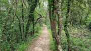 Pougnadoresse_26_05-100