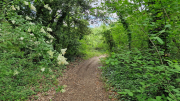 Pougnadoresse_26_05-107