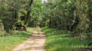 Pougnadoresse_26_05-109