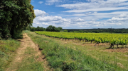 Pougnadoresse_26_05-110