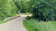 Pougnadoresse_26_05-19