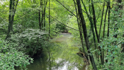 Pougnadoresse_26_05-20