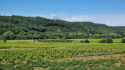 Pougnadoresse_26_05-22