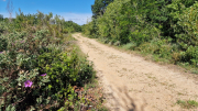 Pougnadoresse_26_05-25