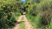 Pougnadoresse_26_05-31