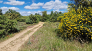 Pougnadoresse_26_05-32
