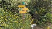 Pougnadoresse_26_05-33