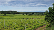 Pougnadoresse_26_05-4