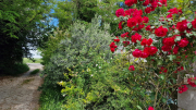Pougnadoresse_26_05-41