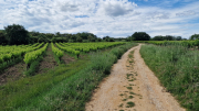 Pougnadoresse_26_05-42