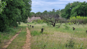 Pougnadoresse_26_05-54