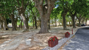 Pougnadoresse_26_05-61