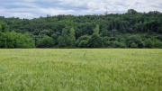Pougnadoresse_26_05-77