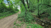Pougnadoresse_26_05-79