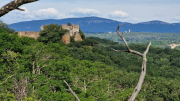 Pougnadoresse_26_05-8