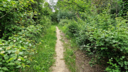 Pougnadoresse_26_05-81