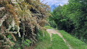 Pougnadoresse_26_05-82