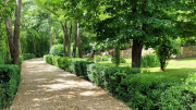 Pougnadoresse_26_05-84