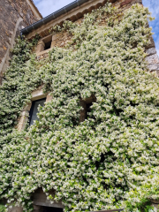 Pougnadoresse_26_05-97