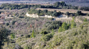 Theziers_26_01-101